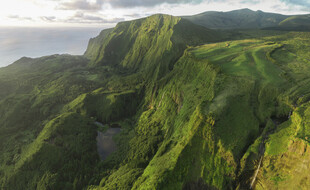 青绿山野峡谷风光