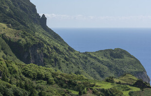 临海青山海岸风光
