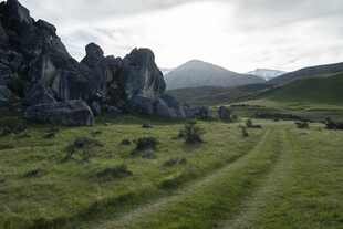 郊野草甸山石风光