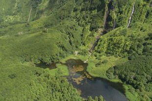 山野林间小湖风光