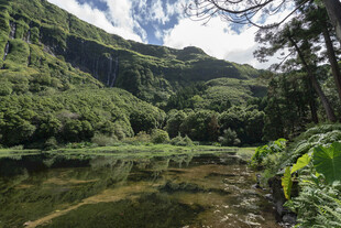 青山湖畔自然风光