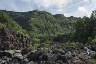 青山河谷自然风光