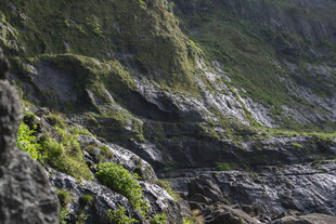 山涧溪流青苔景观