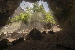 山涧溪流光影美景