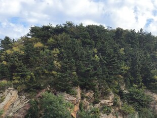 郊野山林自然风光