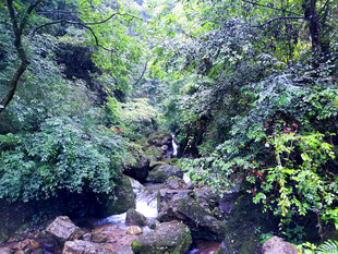 青城后山
