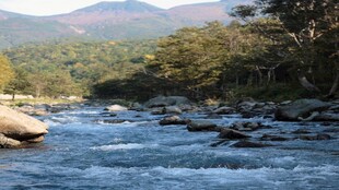 河畔山野自然风景
