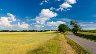 乡野田园公路夏日风光