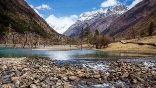 高原河谷湖畔风光