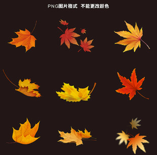 秋日水彩枫叶素材