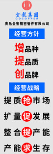 企业经营方针战略展示