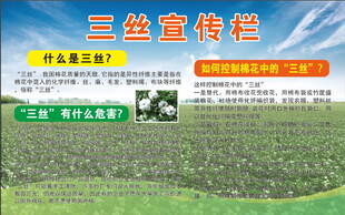 棉花厂 三丝宣传栏