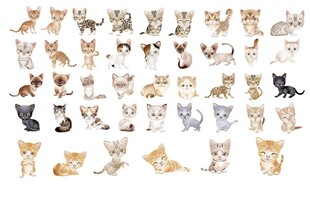 多款可爱猫咪插画合集