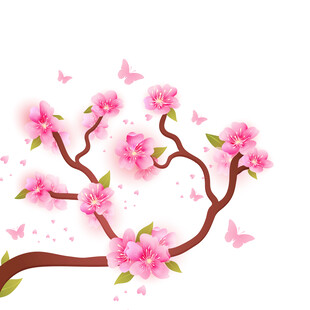 春日樱花枝插画