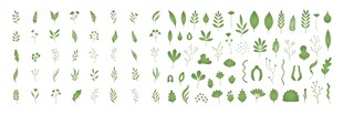 绿色植物素材