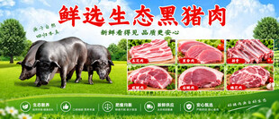 鲜选生态黑猪肉海报