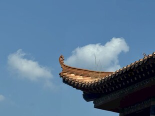 寺庙屋角风景