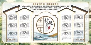 村规民约