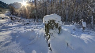 冬日雪地日出风光