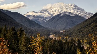远眺雪山山林风光