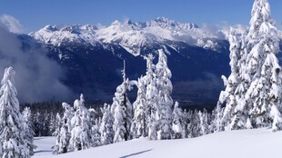 冬日雪山雾凇美景
