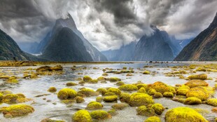 阴云下的山谷湿地景观