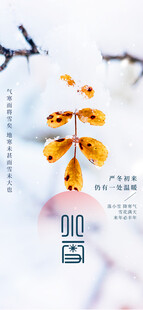 小雪创意节气海报