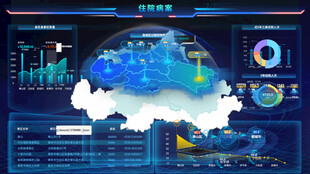云数据可视化大屏