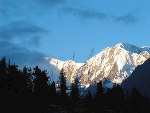 日照金山山林美景