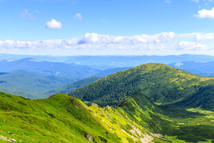 高山草甸晴空风光