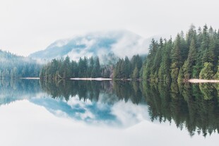 雾漫山林湖景风光