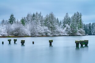 冬日雪湖松林风光