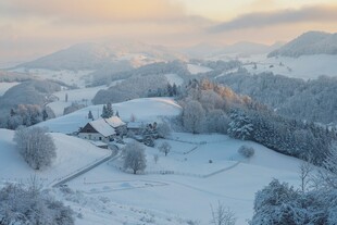 冬日雪后山野晨景