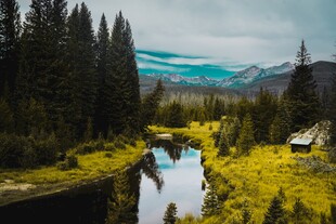 山野林间自然风光