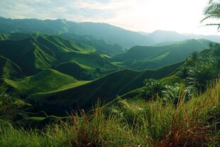 层峦叠翠山野风光