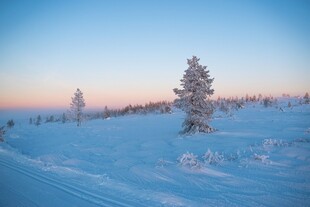 冬日雪原晨光美景