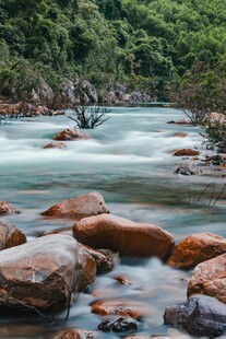林间山涧溪流风光
