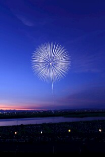 蓝调夜空烟花绽放
