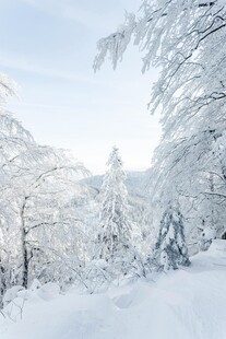冬日雾凇雪景风光