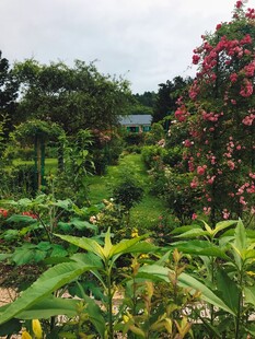 郊野花园自然风光