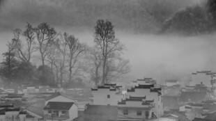 雾中乡村黑白风光