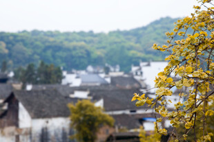 江南山乡古村秋景