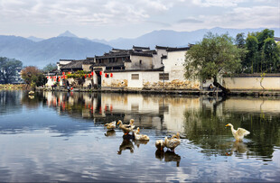 徽派水乡古村风光