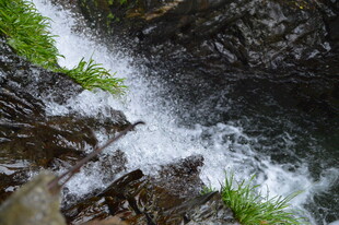 山涧溪流自然水景