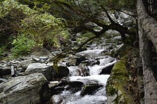 山林溪流自然景观