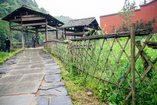 乡村农家步道小景