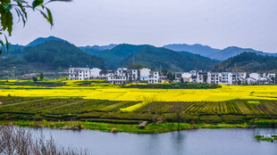 春日乡村田园美景