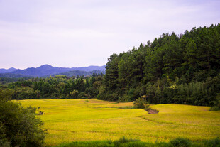 郊野田园秋日风光