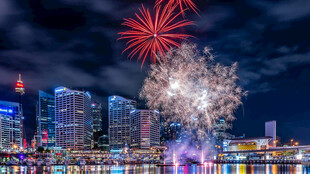 都市河畔烟花夜景