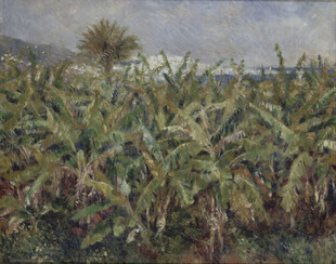 芭蕉林郊野风景油画